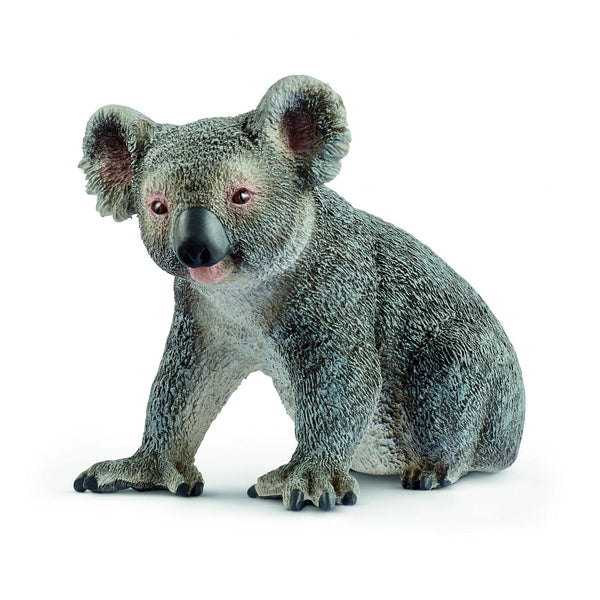 Schleich Koala - ToyRunner