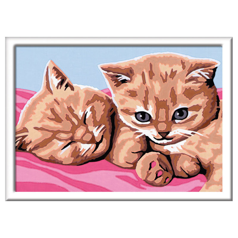 Katten Schilderen op nummer - Knutselset Verven Ravensburger - ToyRunner