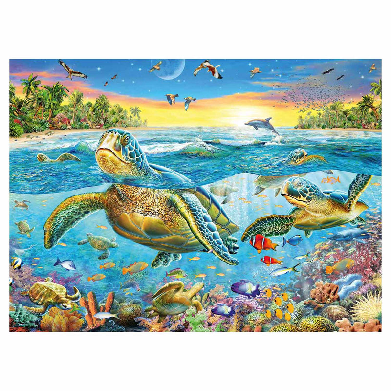 Zeeschildpadden, 100st. XXL - ToyRunner