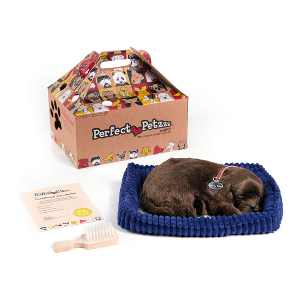 Perfect Petzzz Soft Chocolate Labrador - ToyRunner
