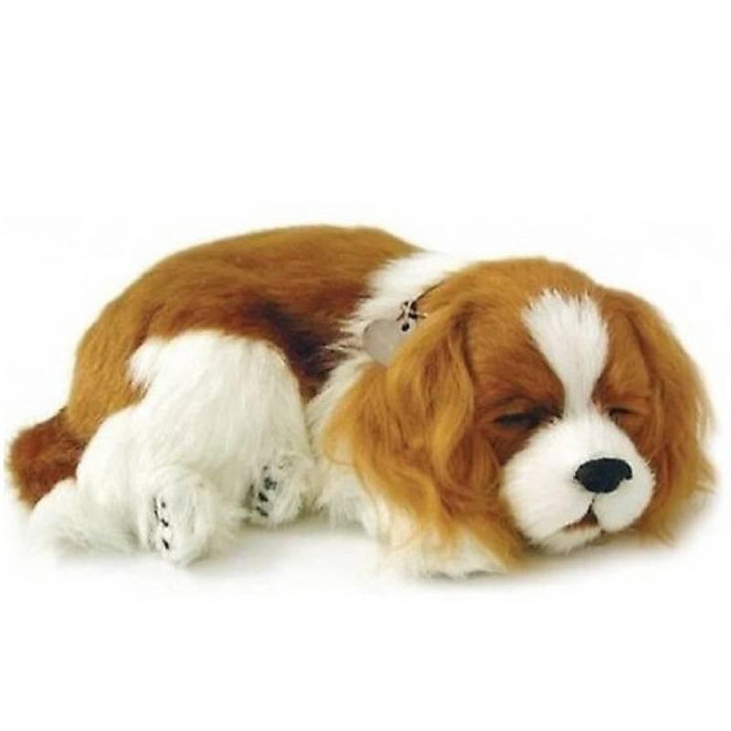 Perfect Petzzz Soft Cavelier King Charles - ToyRunner