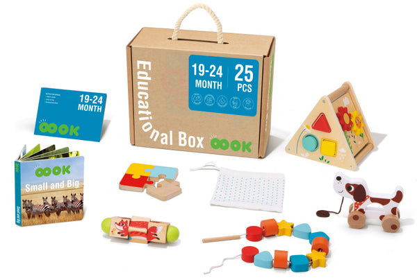 Educatieve Houten Speelgoed Box 19-24 maanden 25-delig